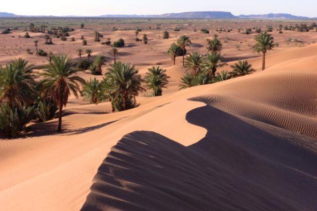 Camp Sahara Holidays M’hamid El Ghizlane Exterior foto