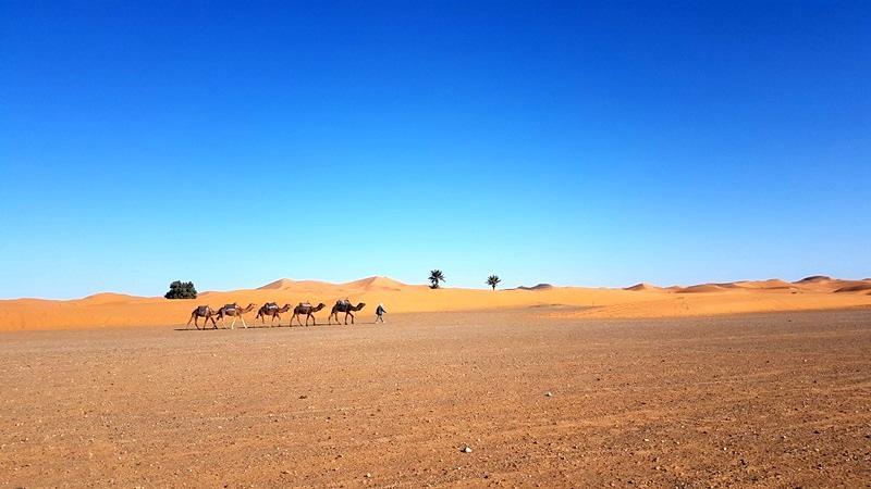 Camp Sahara Holidays M’hamid El Ghizlane Exterior foto