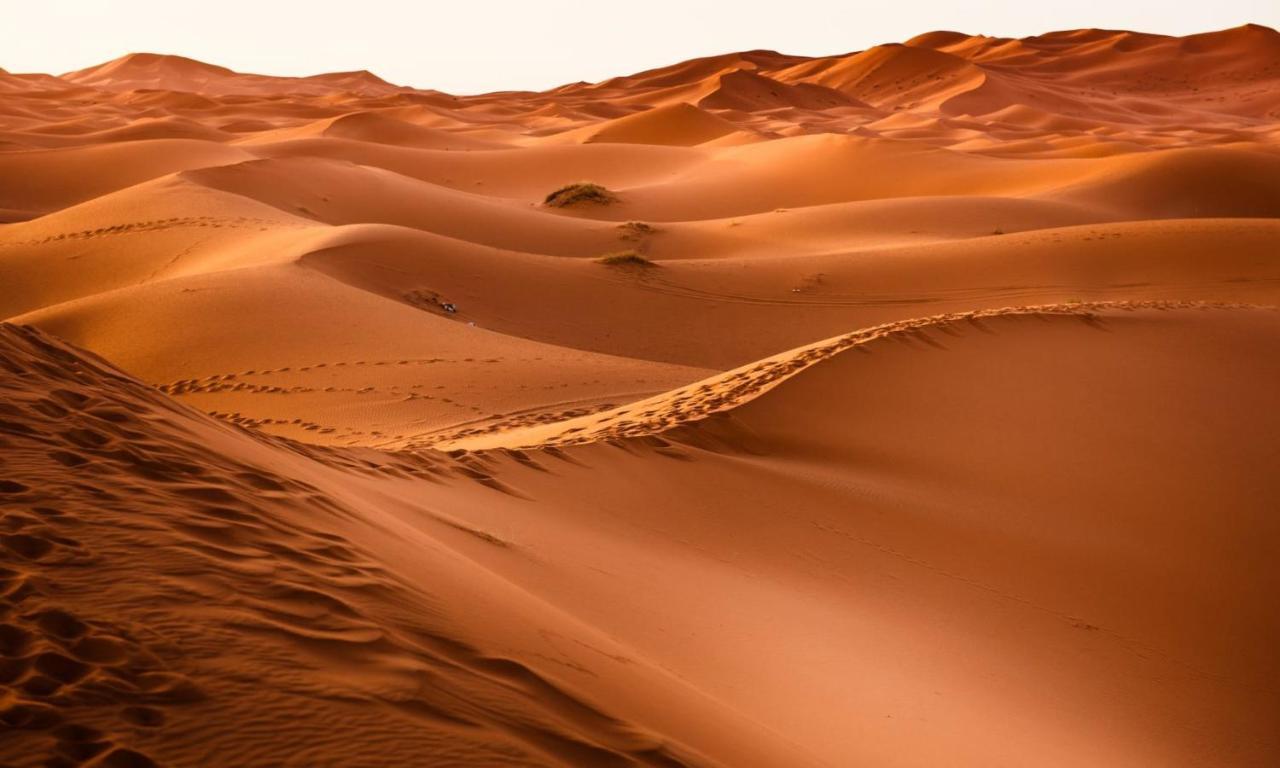 Camp Sahara Holidays M’hamid El Ghizlane Exterior foto