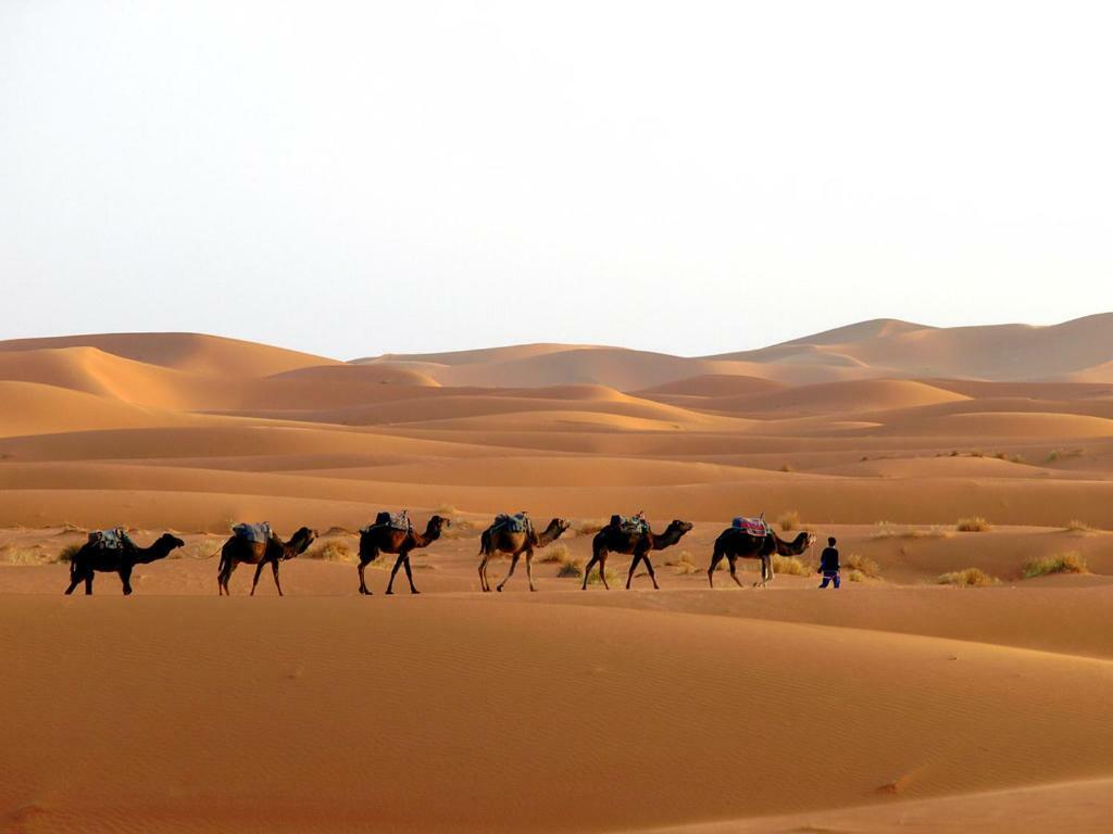 Camp Sahara Holidays M’hamid El Ghizlane Exterior foto